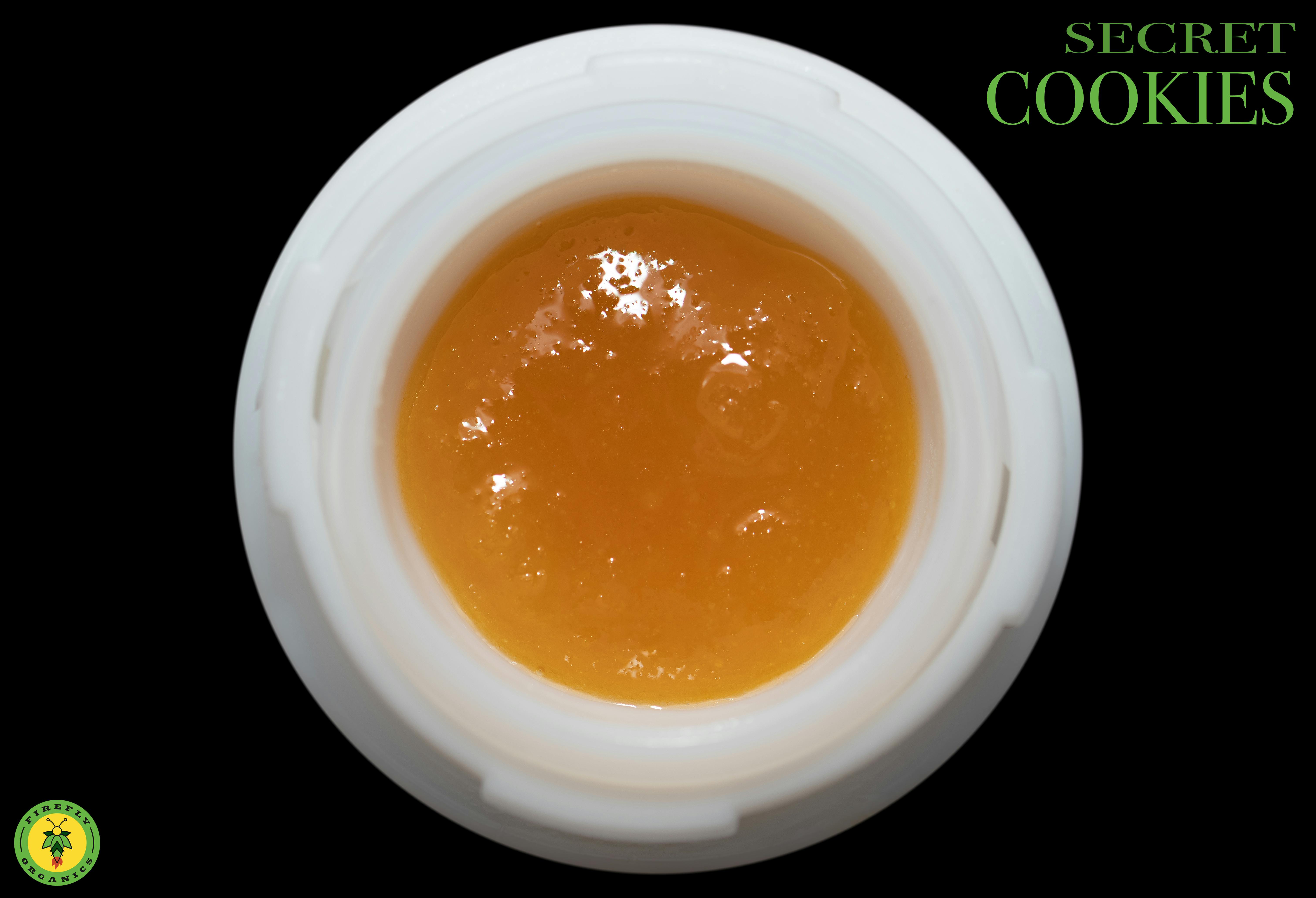 Secret Cookies - Cured Resin - image 1