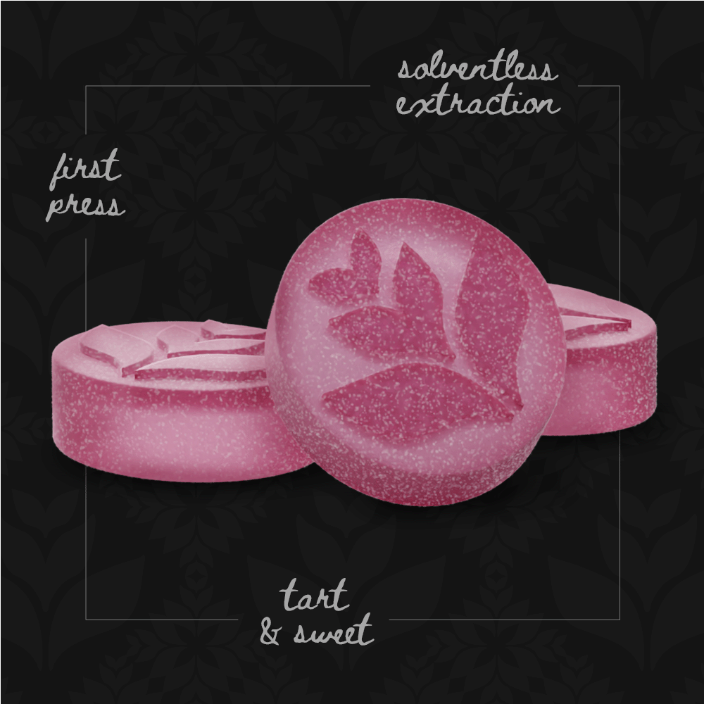 Pink Lemonade | Sativa Live Rosin Gummies 100mg [10pk] - image 2