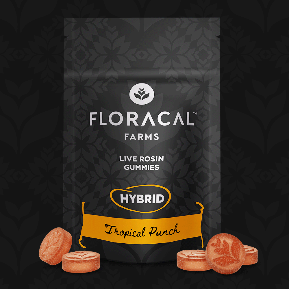 Tropical Punch | Hybrid Live Rosin Gummies 100mg [10pk] - image 1