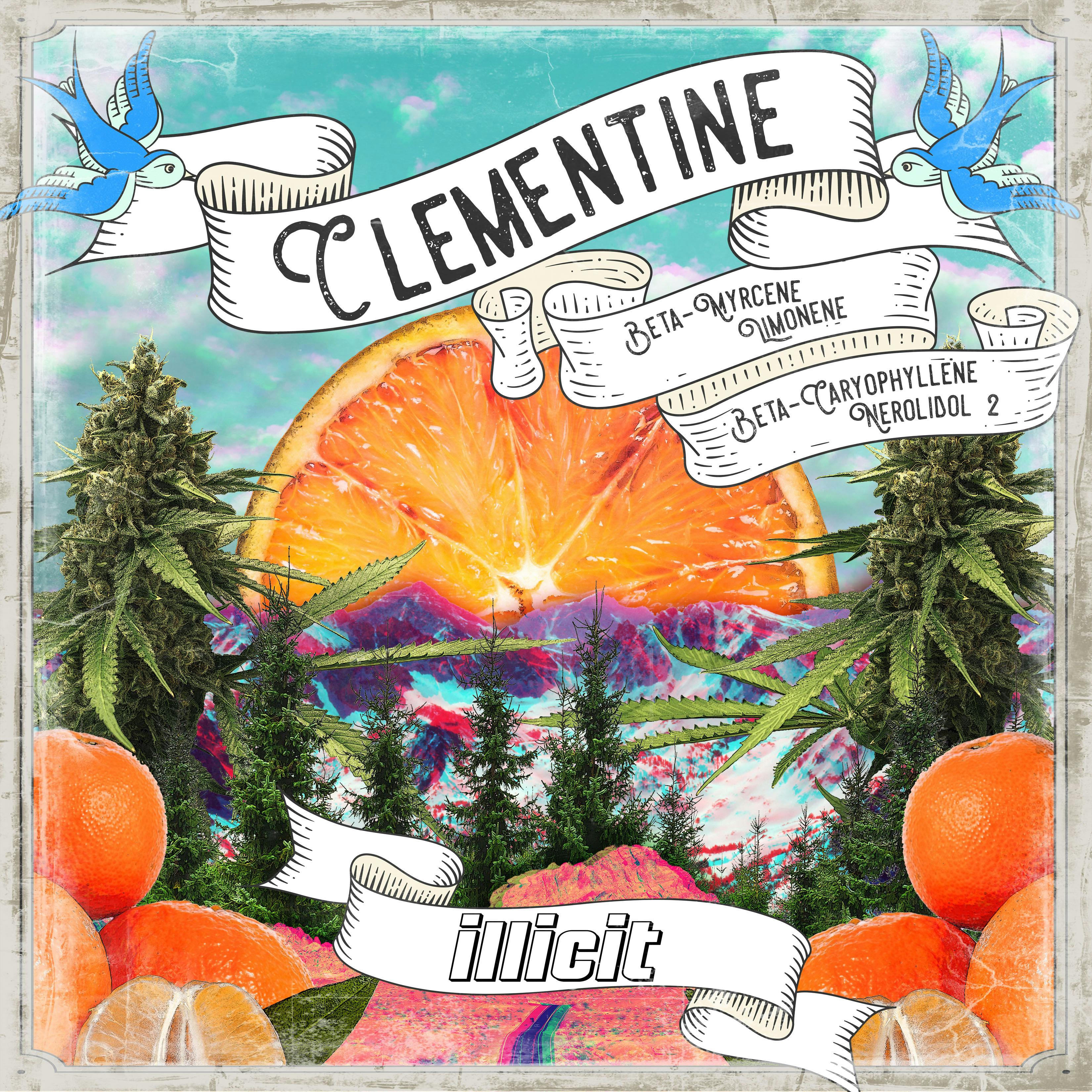 Clementine 14g Flower - image 2