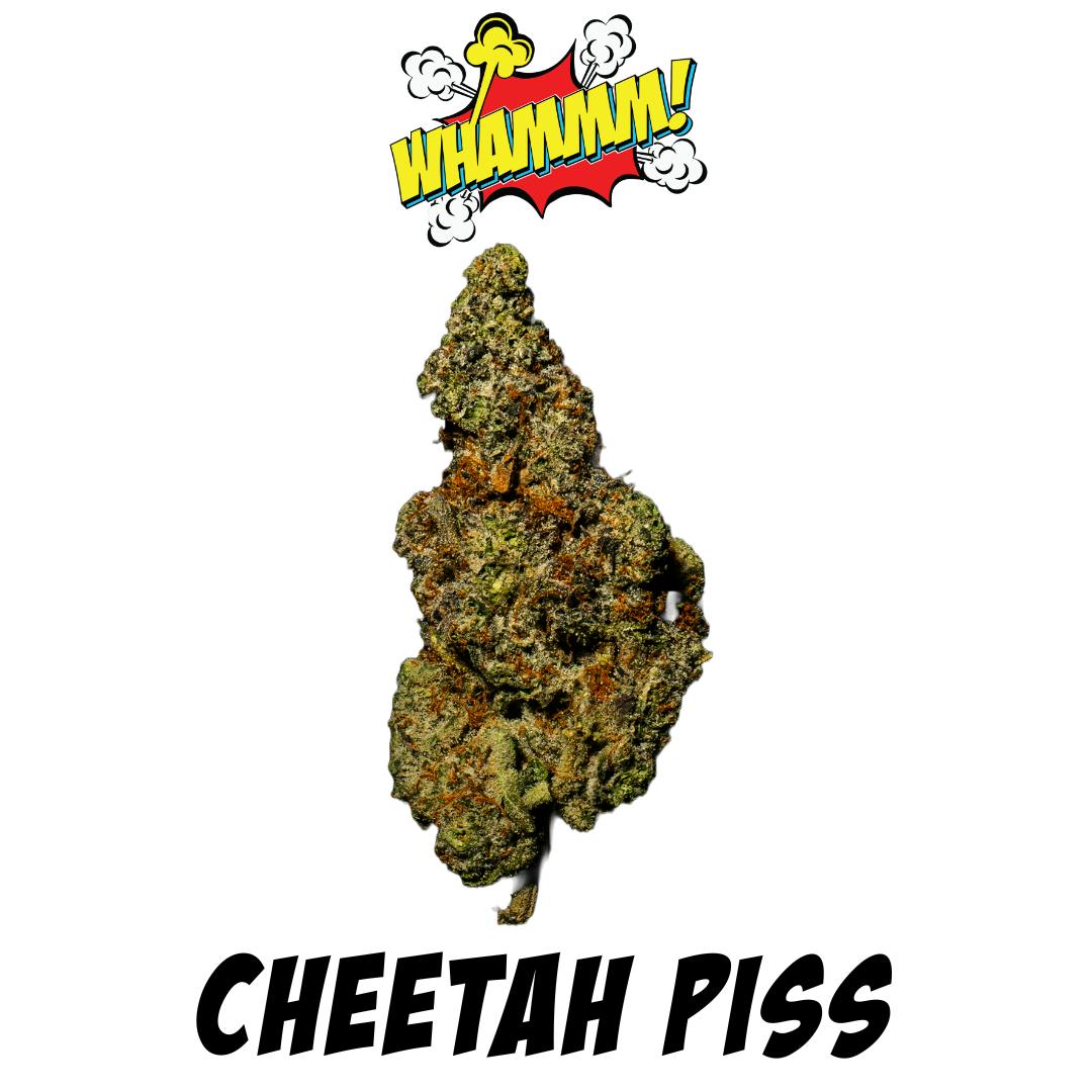 WHAMMM - Flower - Cheetah Piss - 7G - image 2