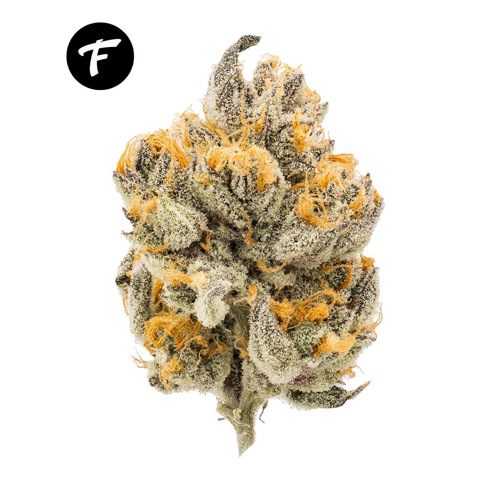 1G 100% Flower Pre-Roll - Sundae Driver - 20.56% - image 2