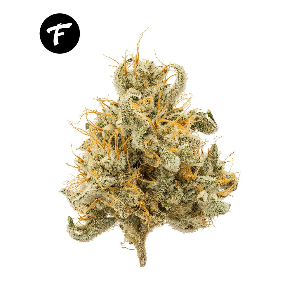Sunshine #4 3.5G Prepack - 27.9% - image 1