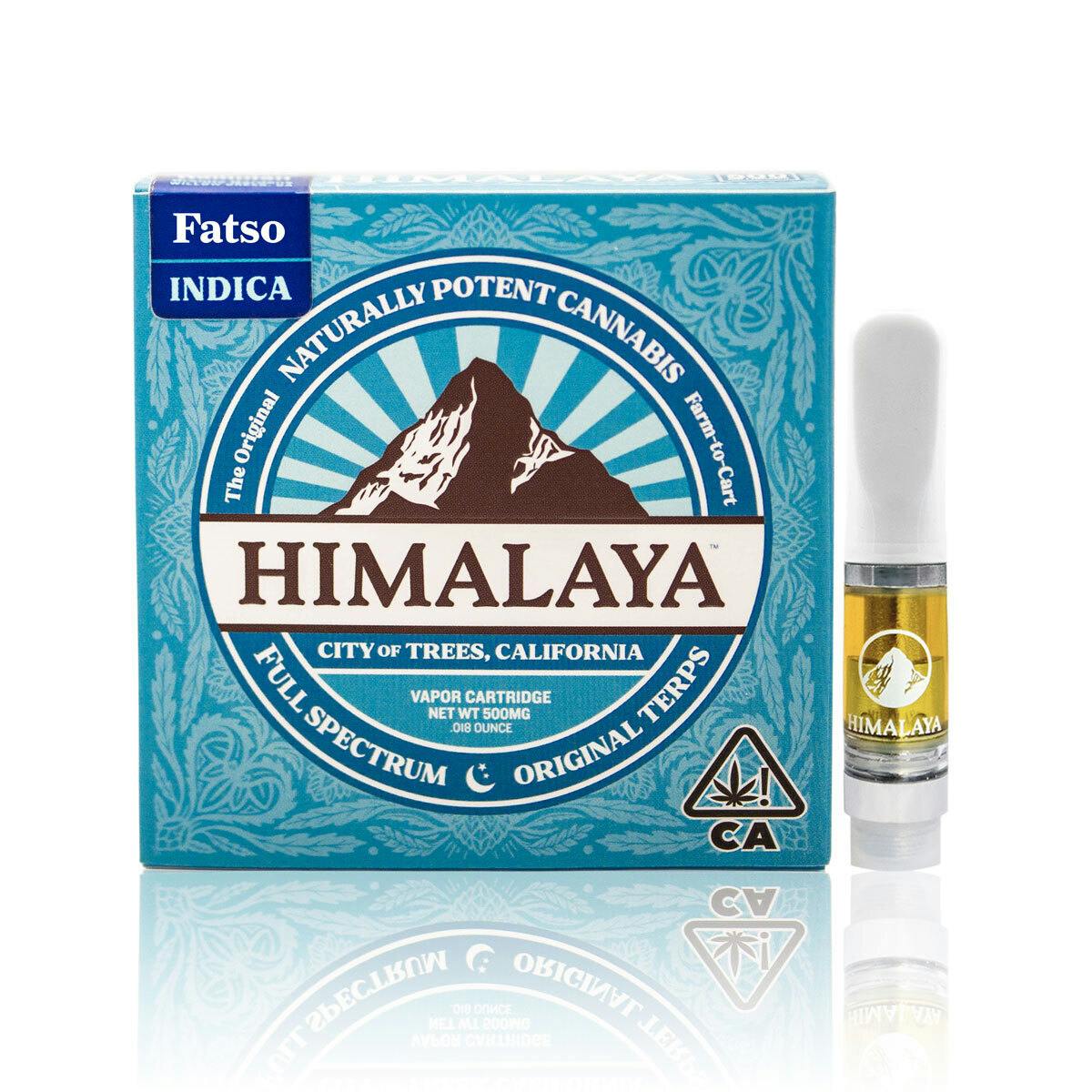 Fatso Cartridge - .5G - image 1