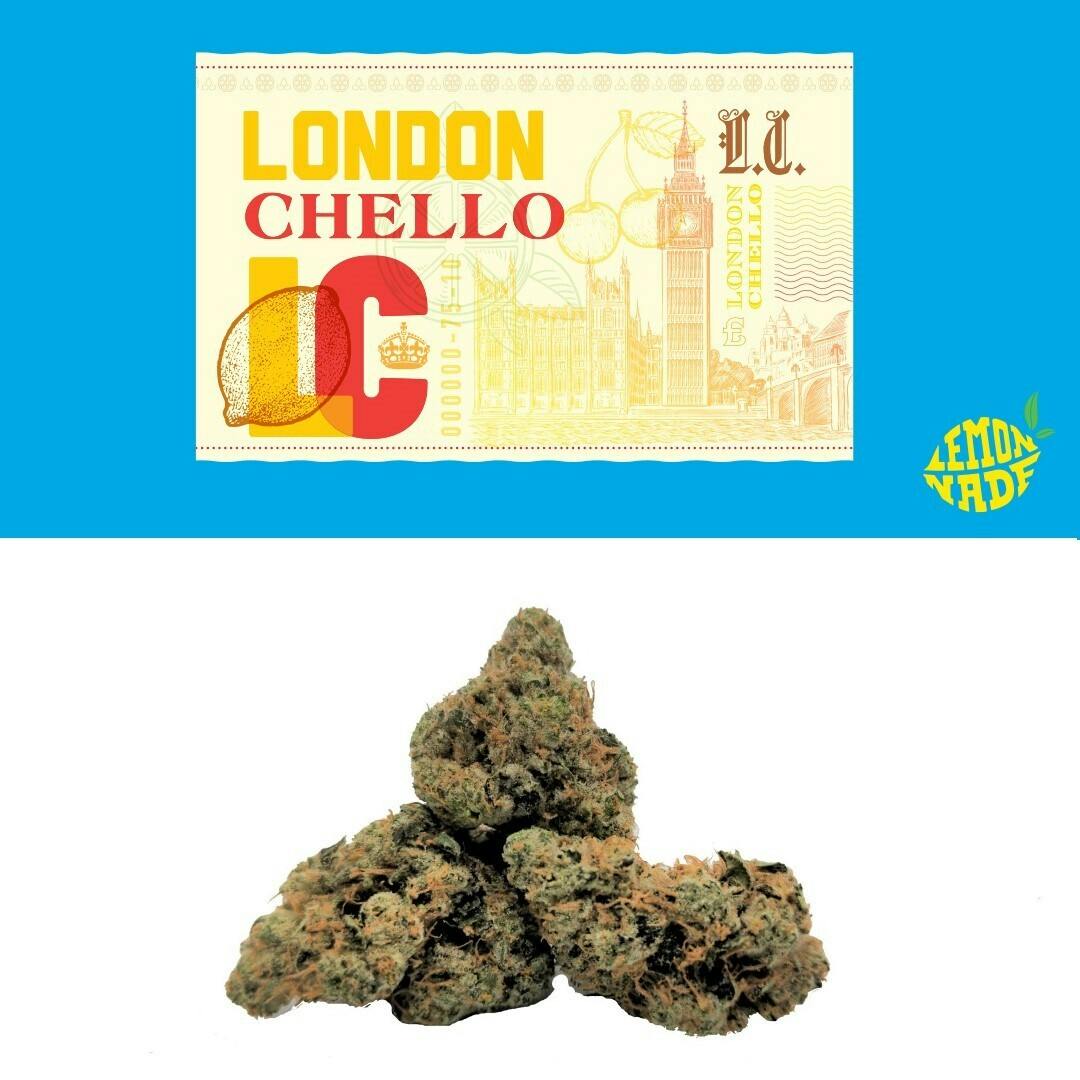 London Chello - image 2