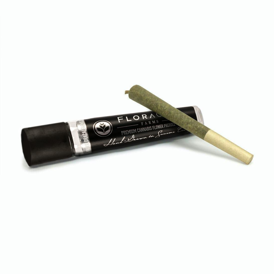 Apple Tart | Hybrid Pre-roll [1g] - image 1