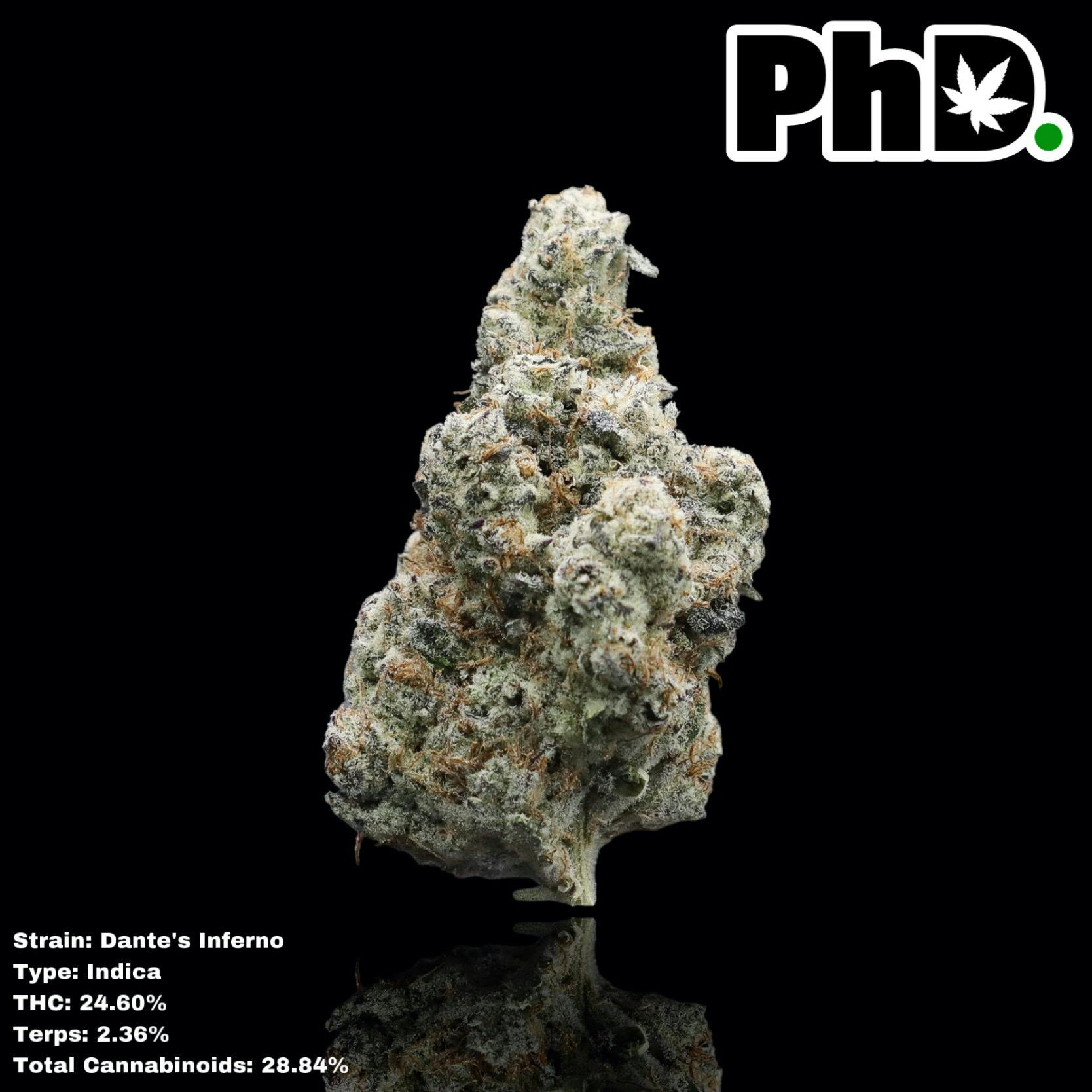 PhD Indoor Flower - Dante's Inferno - image 1