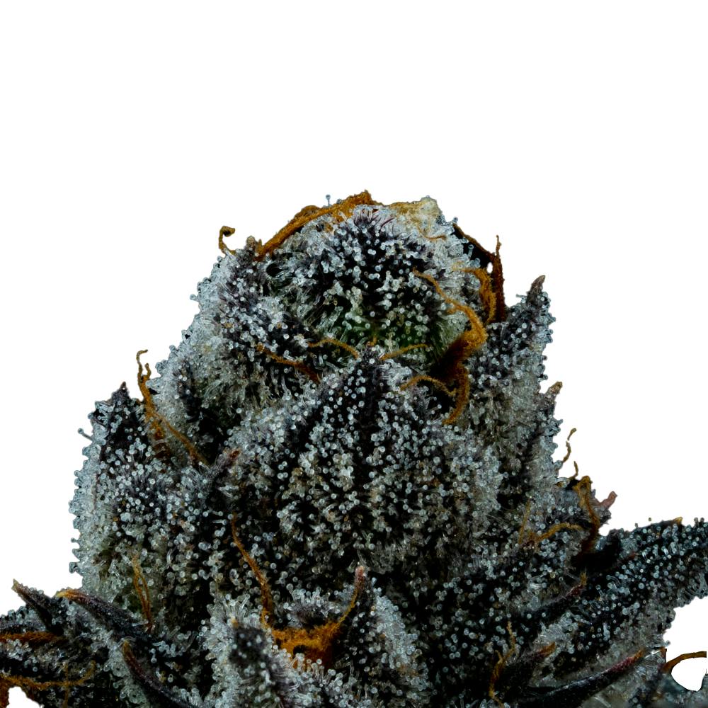 White Lightning | Hybrid Flower [3.5g] - image 4