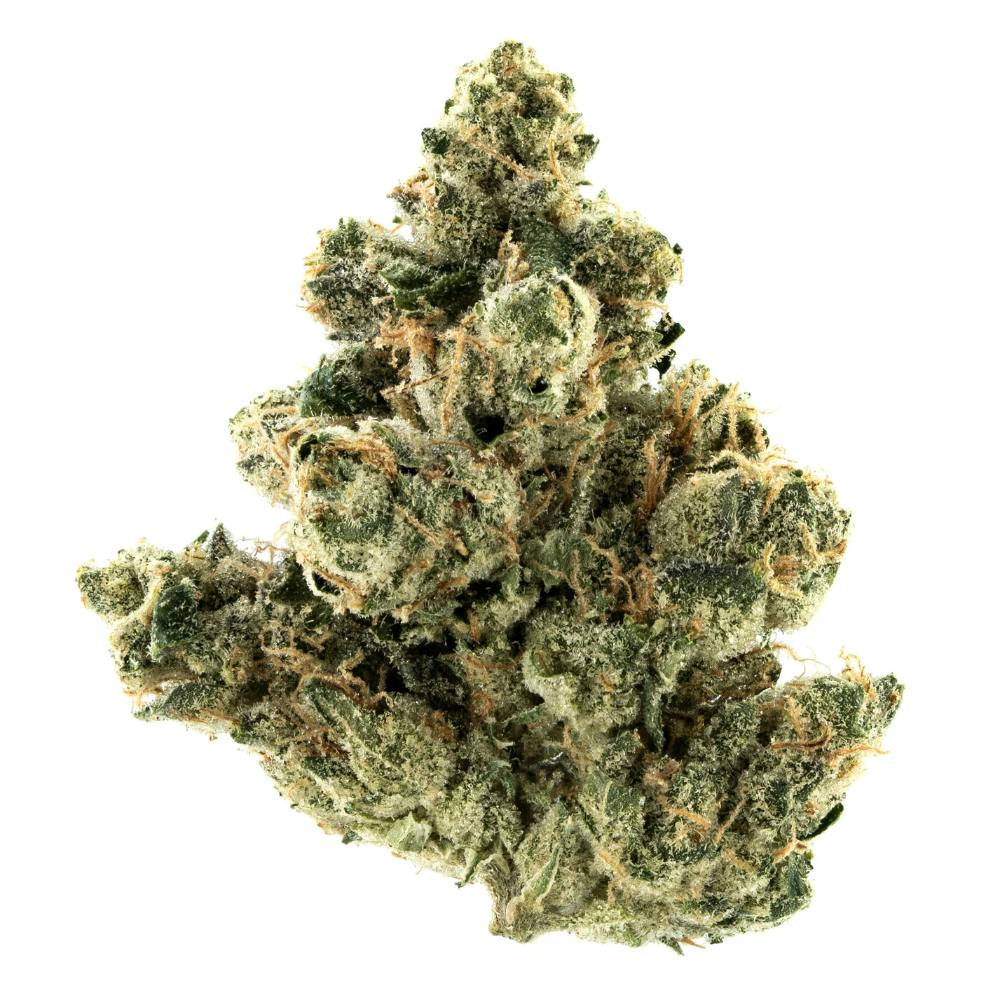 Chem 91 x Girl Scout Cookie | Hybrid Smalls [14g] - image 1