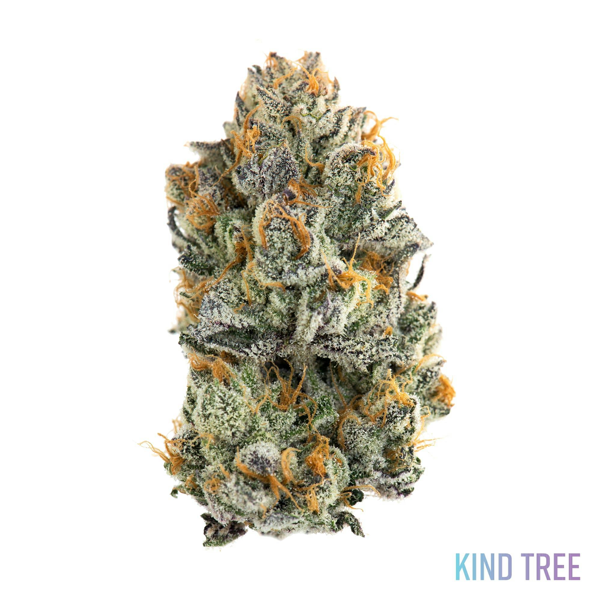 Frosted Melon Gelato - image 1