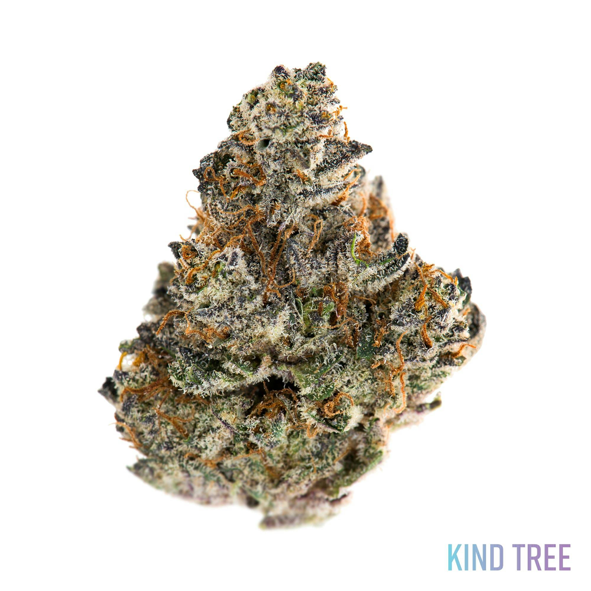 Grease Monkey - image 1