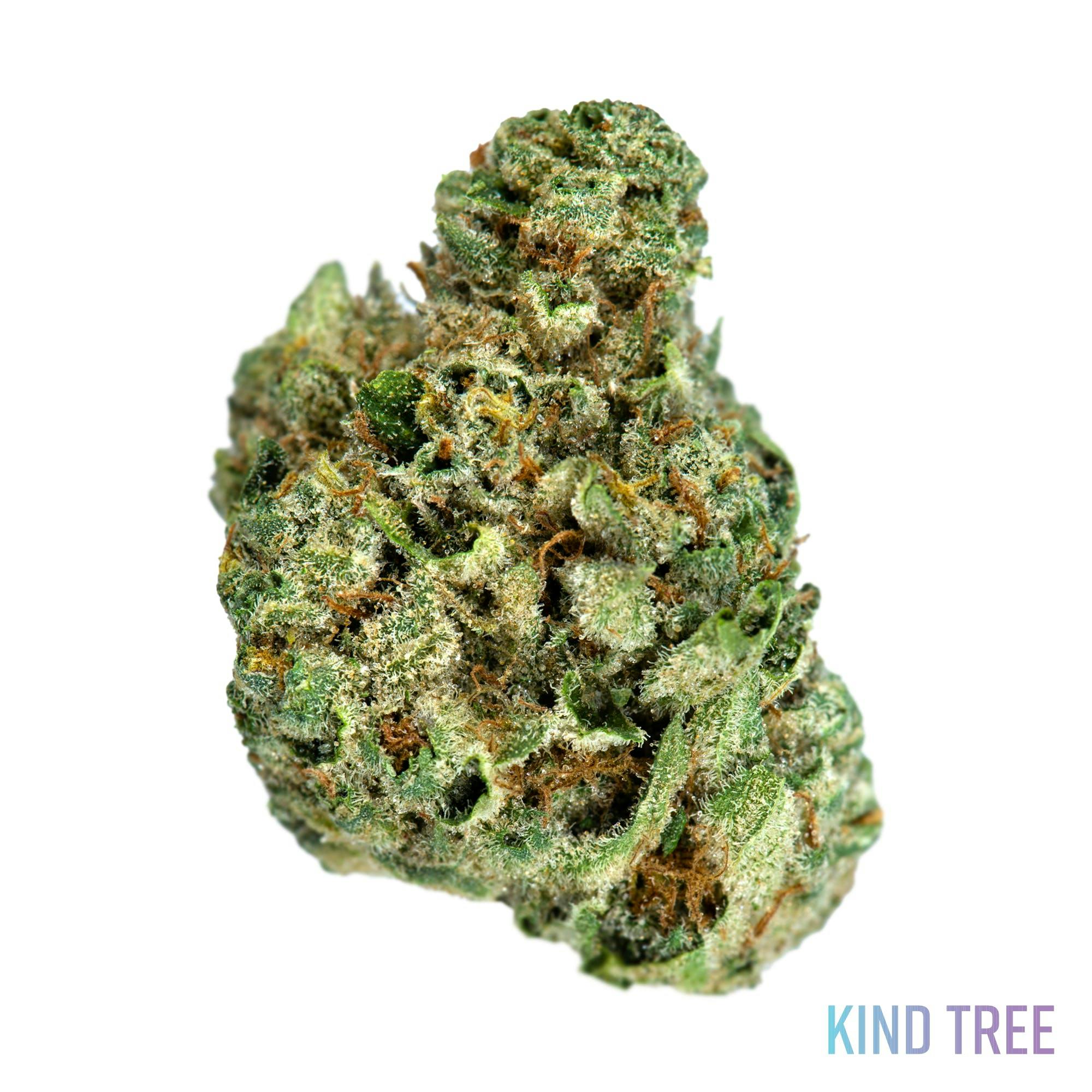 GSC - image 1