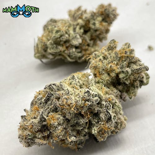 MAC1 - image 1