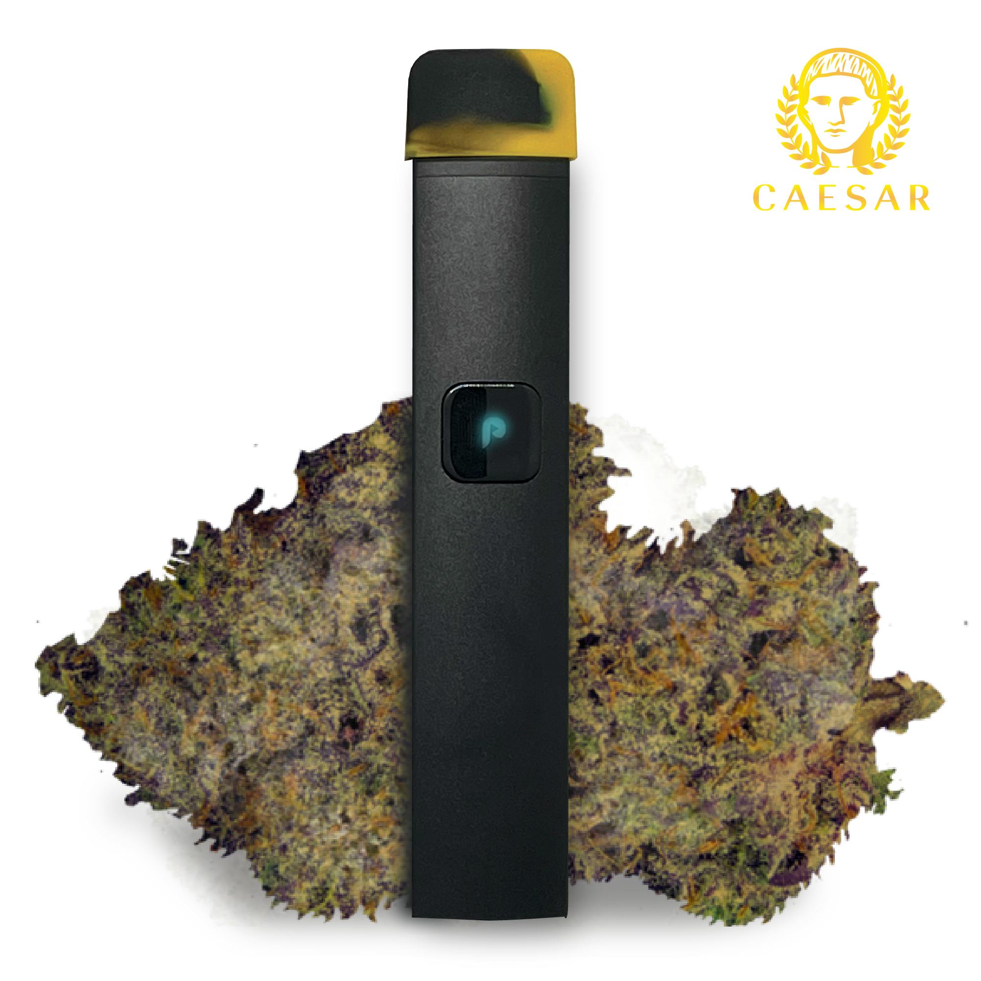 VAPE - 1g ALL IN ONE JUSTplay™ Caesar - image 2