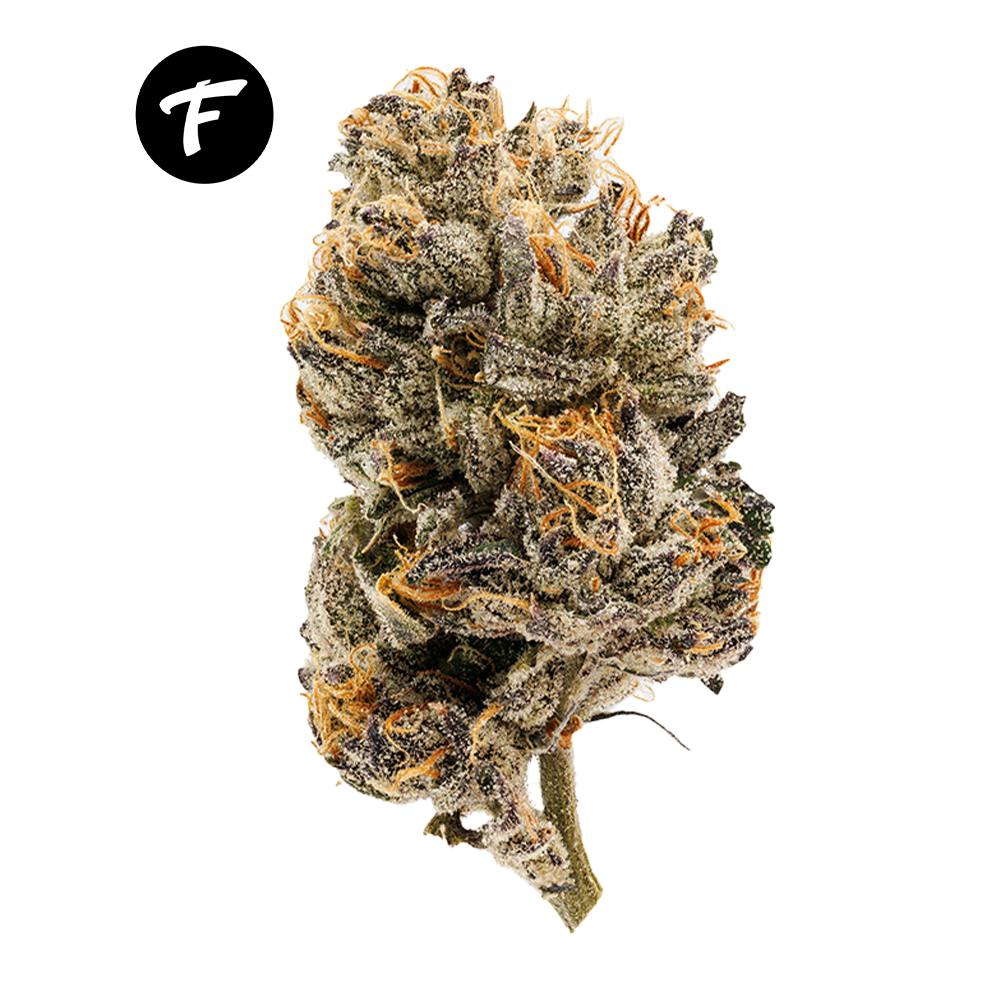 Forté Fire Pack - Runtz (10pk) - image 2