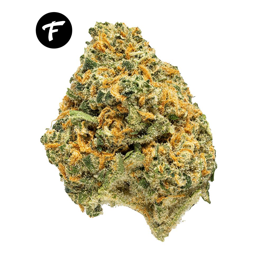 Forté Fire Pack - Lemon Crippler (10pk) - image 2