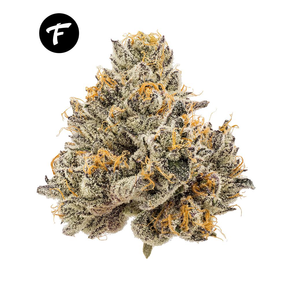 Forté Fire Pack - Ice Cream Cake (10pk) - image 2