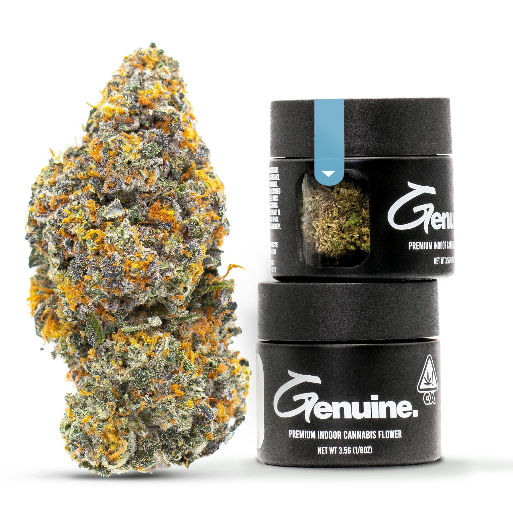 Gelato #41 - Indoor Flower - 3.5g (Jar) - image 2