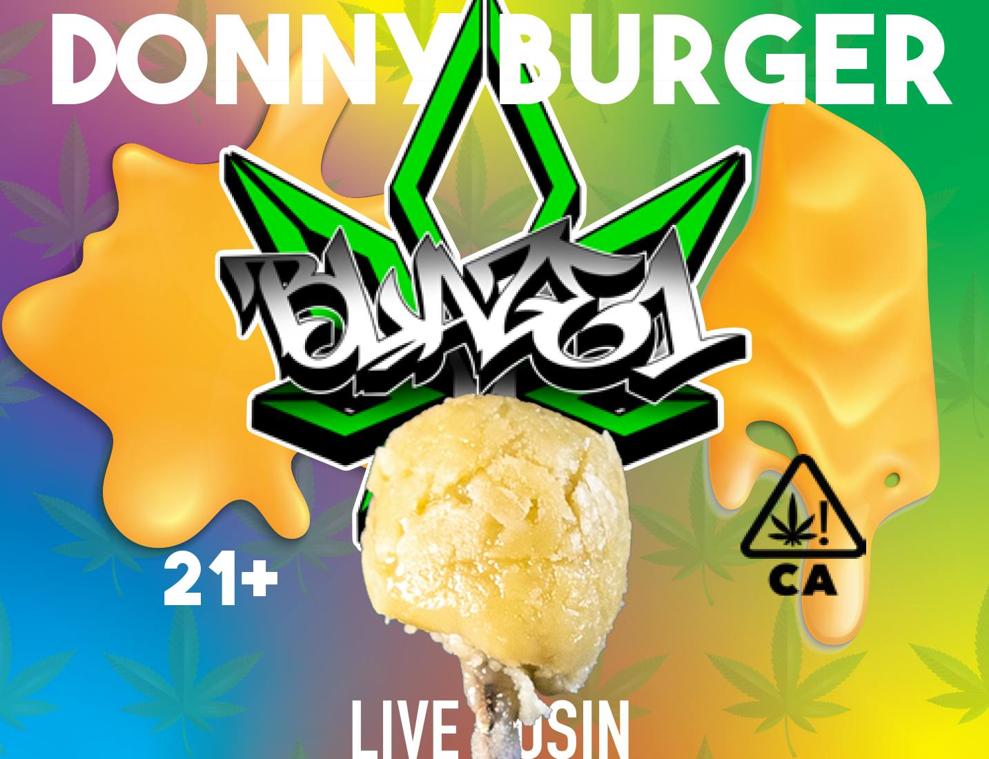 Blaze1 Live Rosin Donnie Burger - image 1