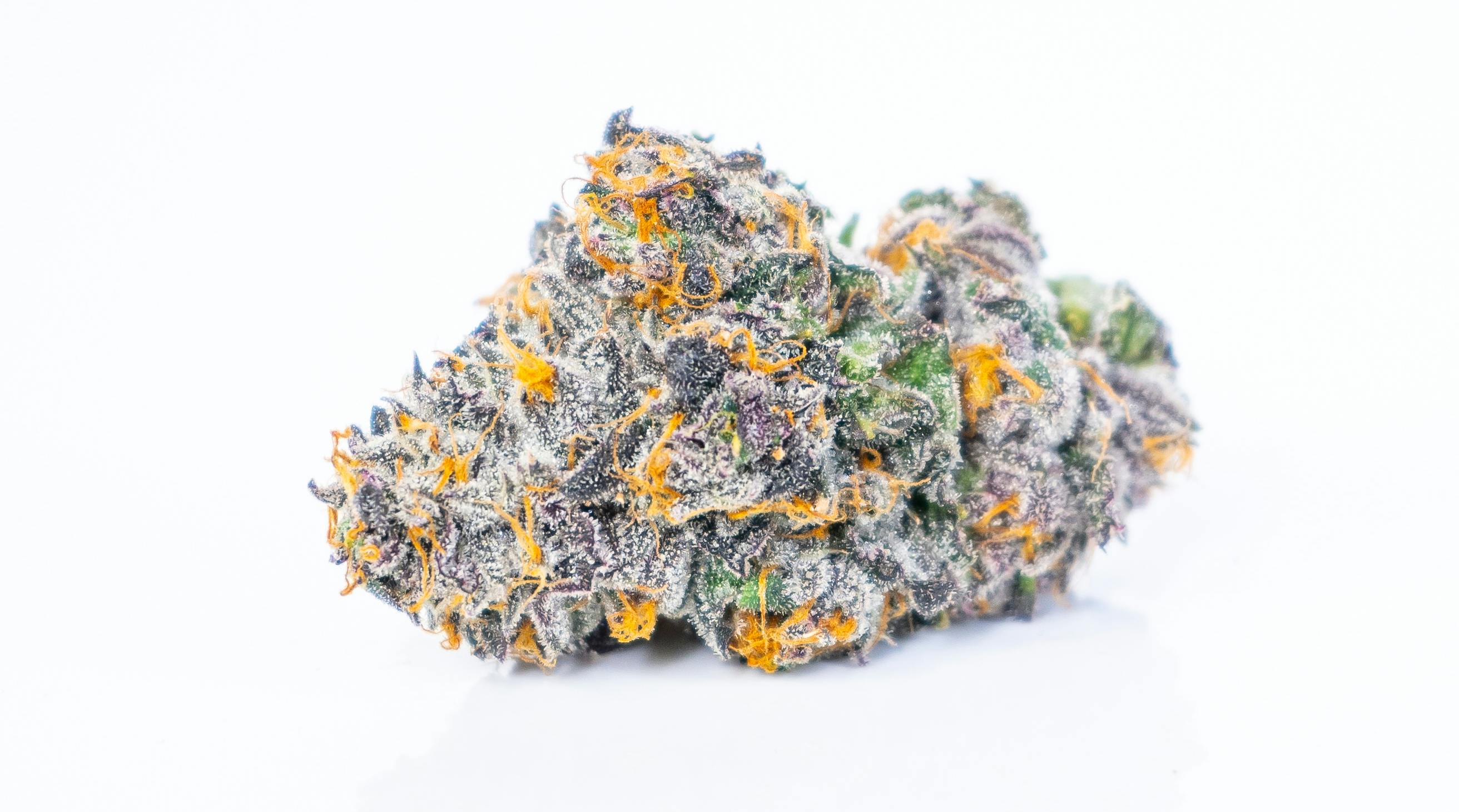 Blaze1 Gushers Premium Indoor 8th A Bag - image 1