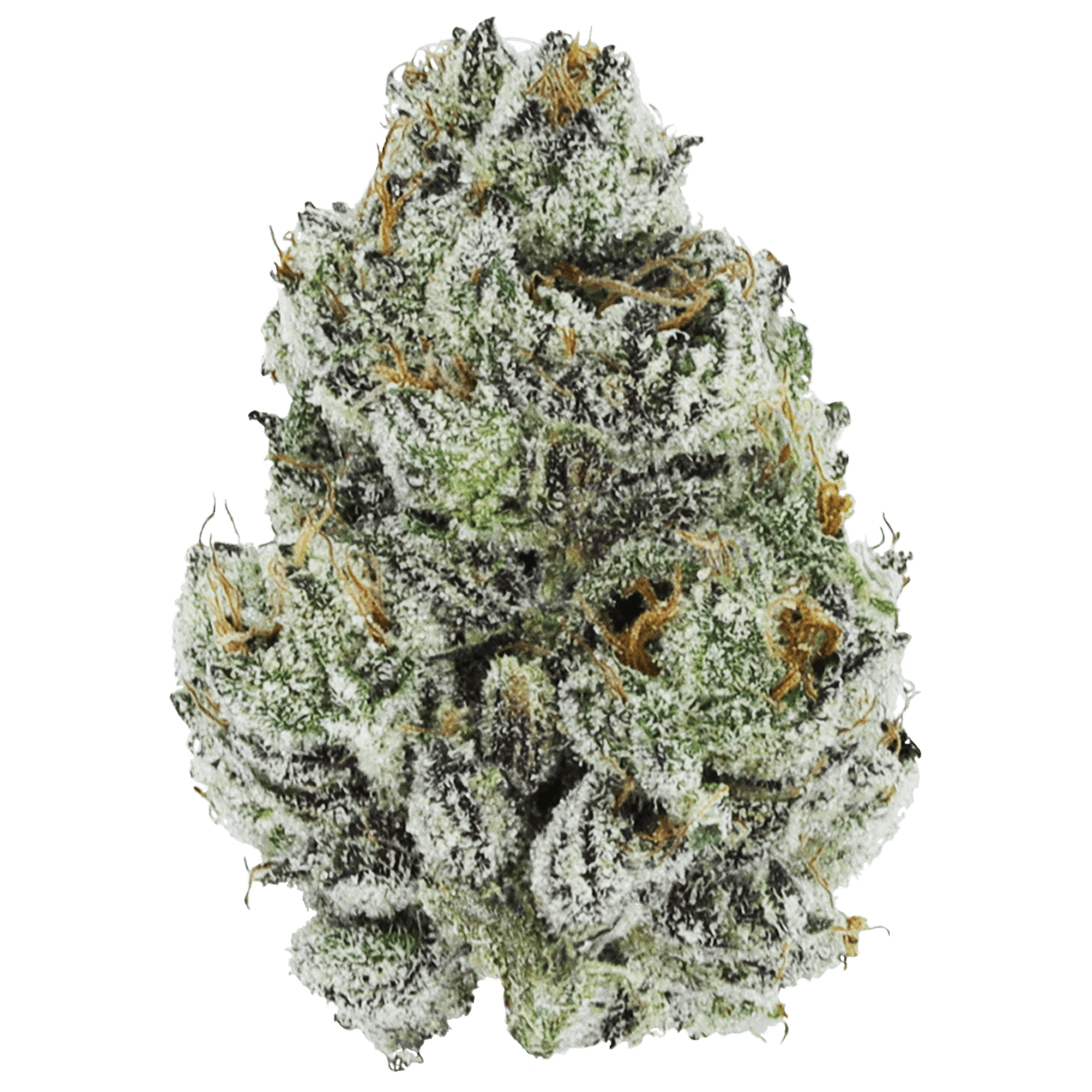 Cookie Cake - 3.5g Flower - Yukon - image 1