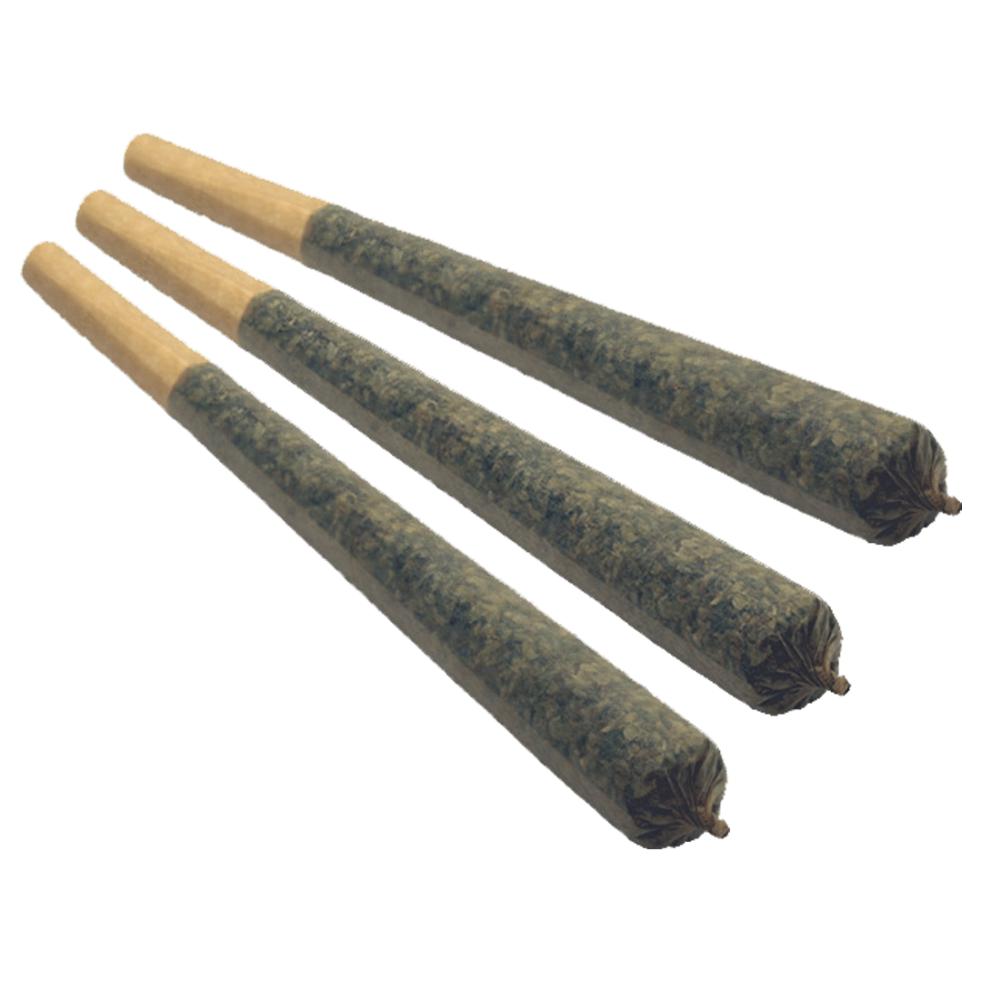 Riptide - 3x0.5g Infused Pre-Rolls - Saskatchewan - image 1