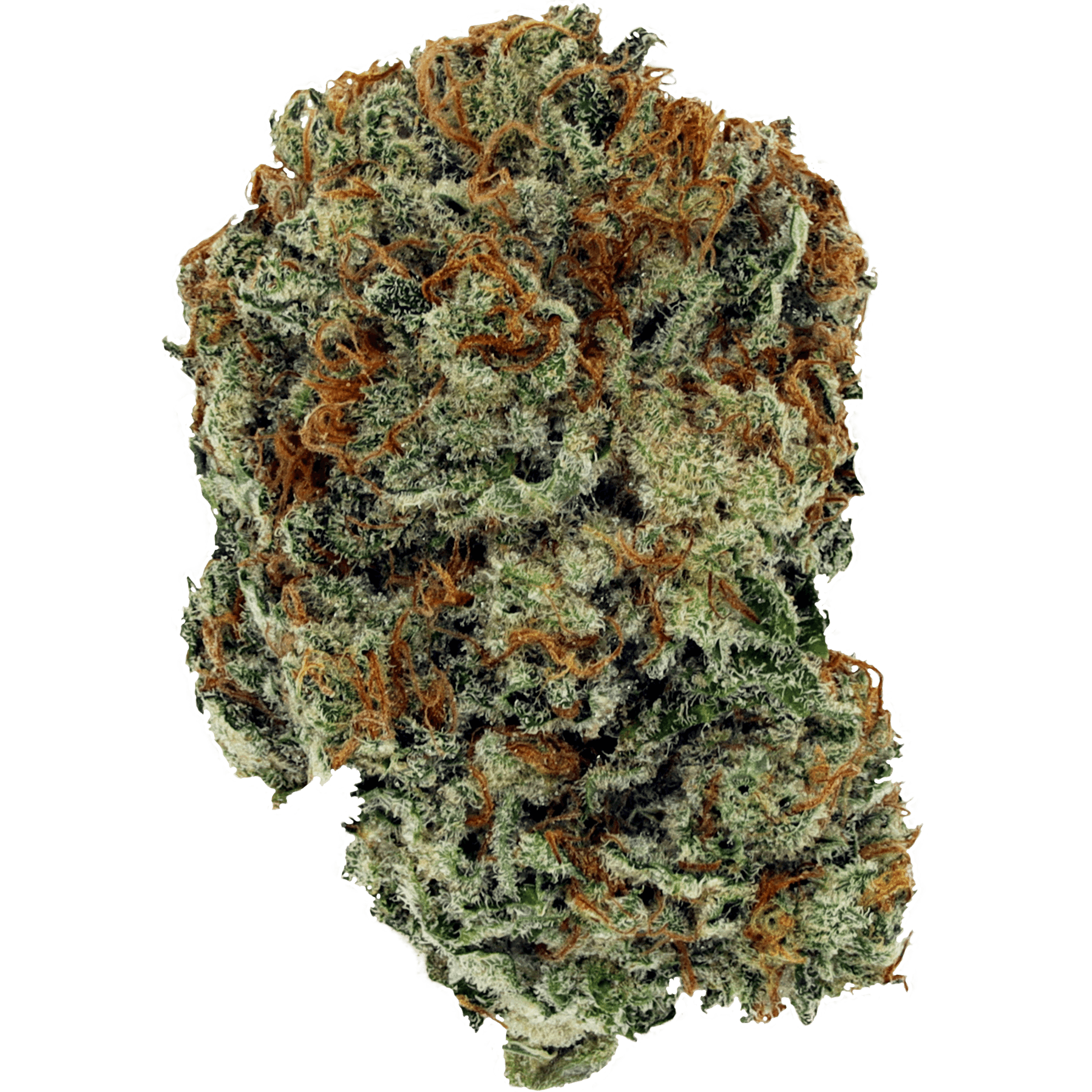 Bonfire Golden Grape - 3.5g Craft Flower - Manitoba - image 1