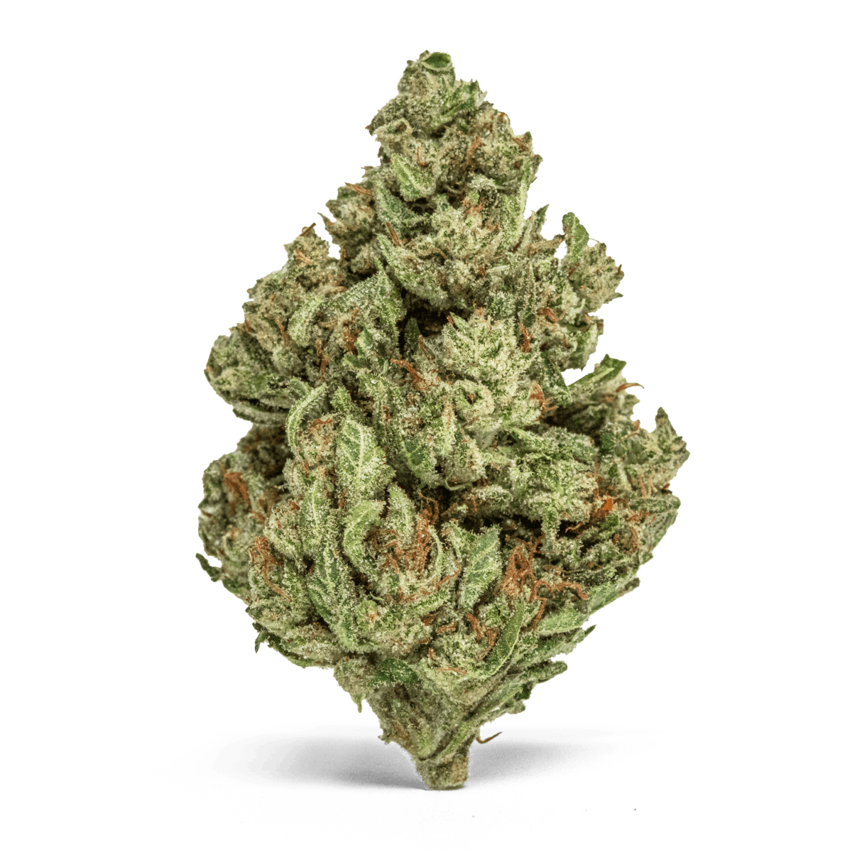 MR. ZIPS | Sour Diesel | 28g Flower - image 2