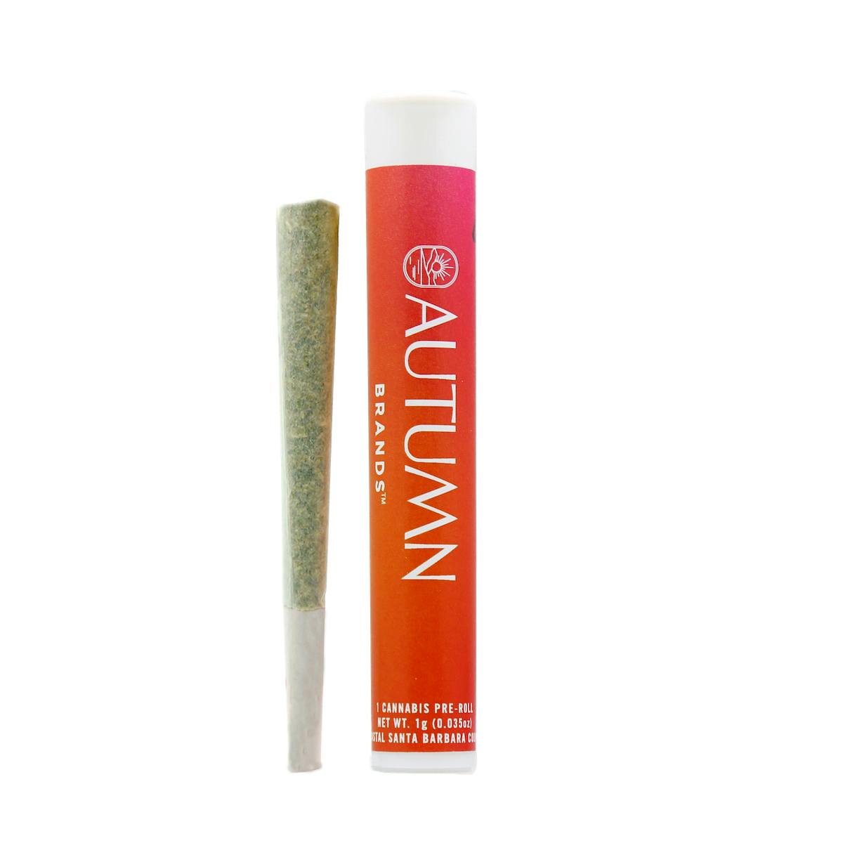 Sour Biscotti 1 gram Preroll - image 1