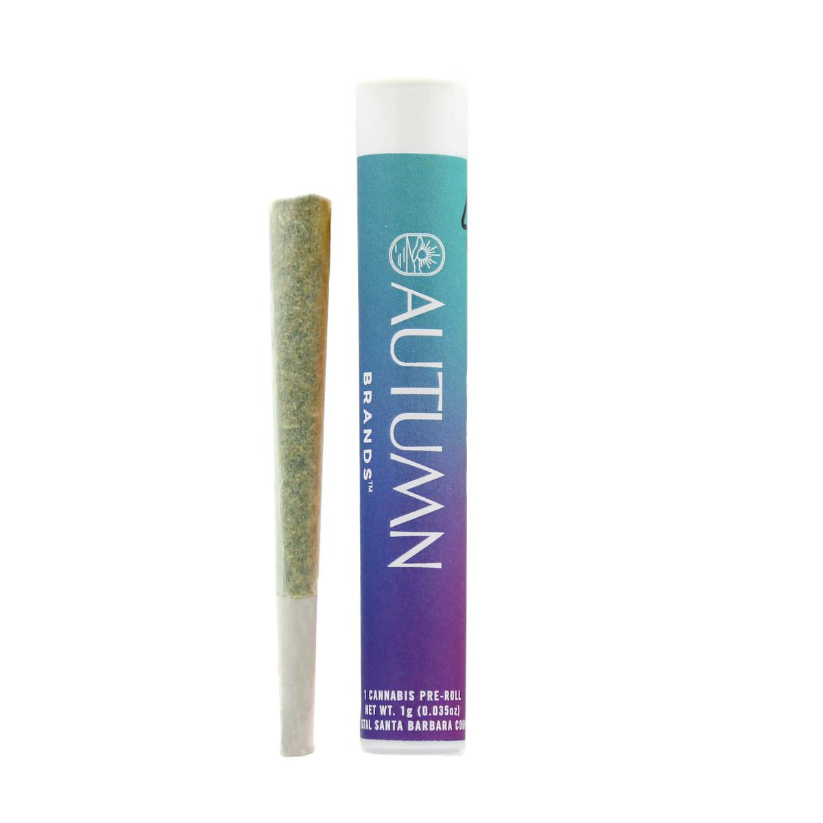 Royal Purple 1 Gram Preroll - image 1