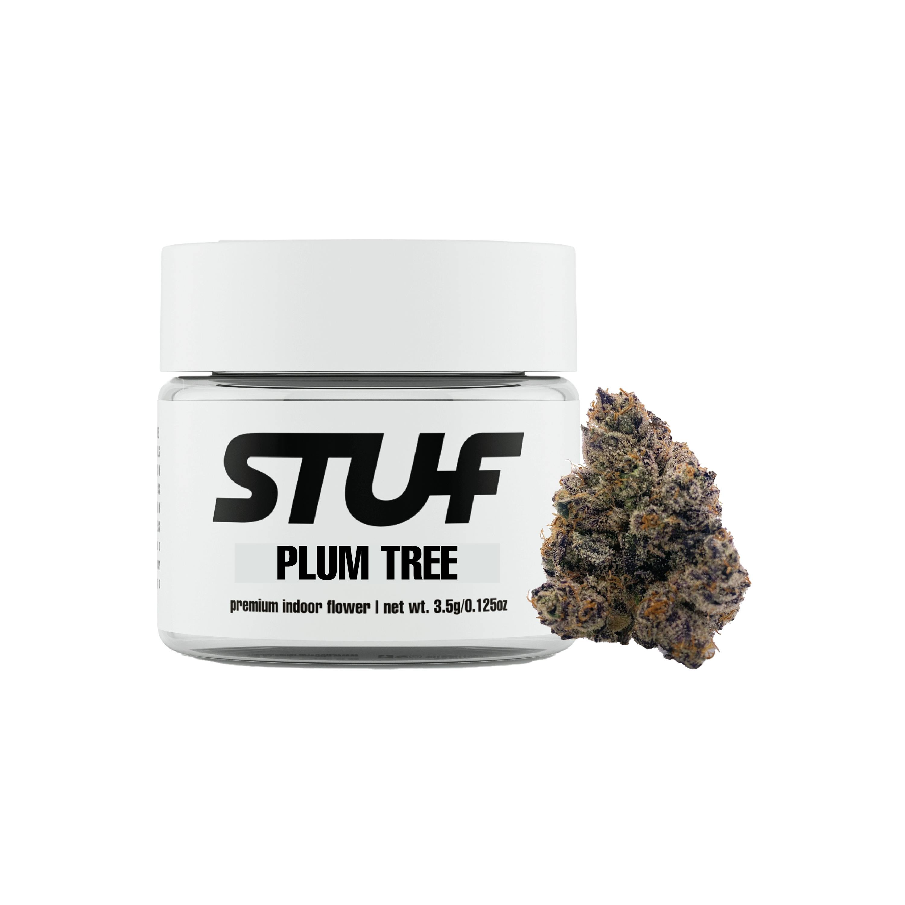 Plum Tree - image 1