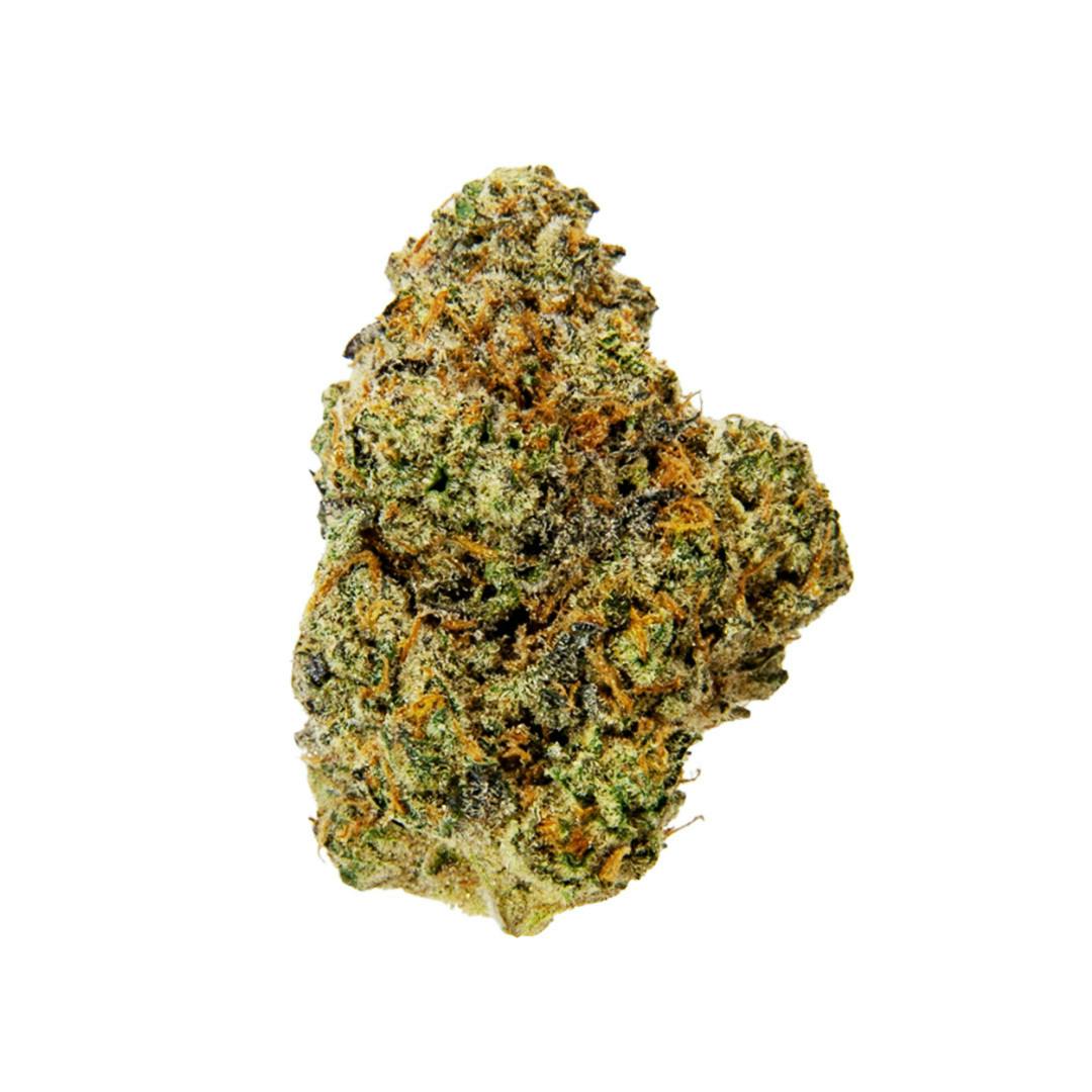 High Society - image 1