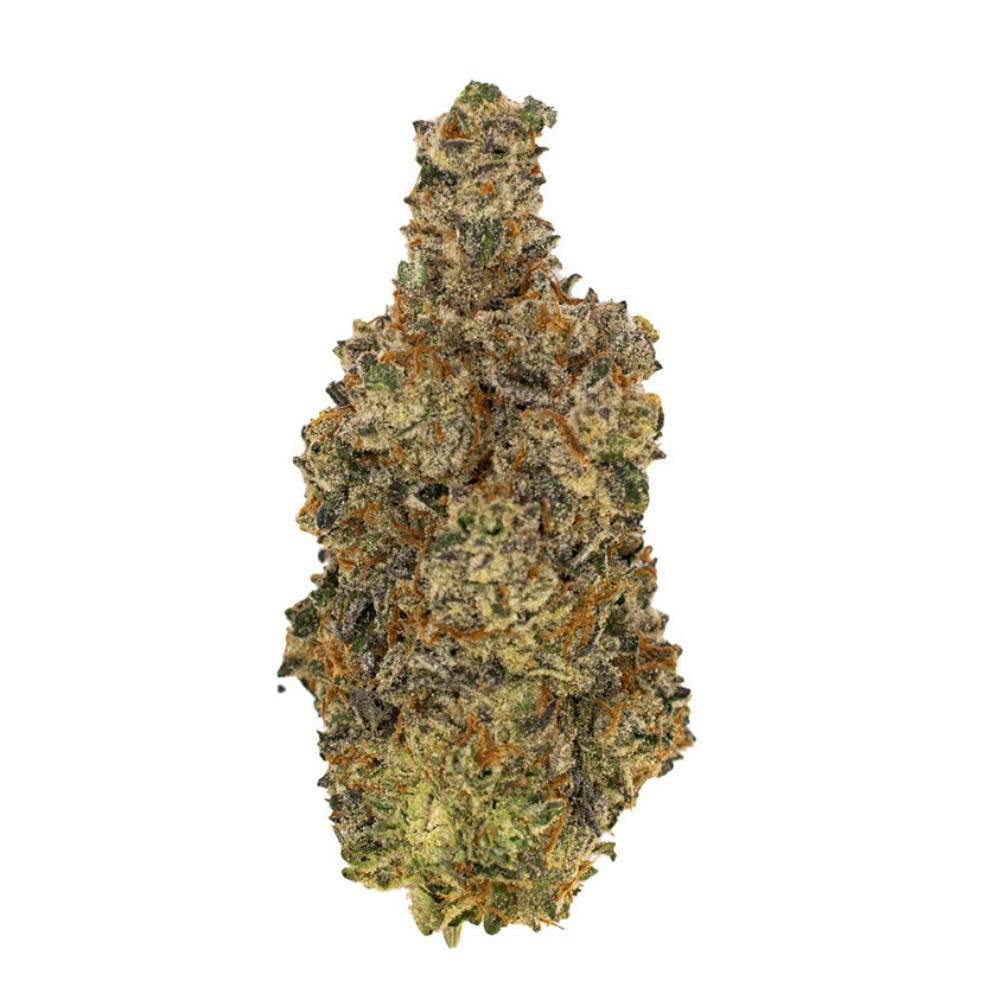 Maltese Orange - image 1