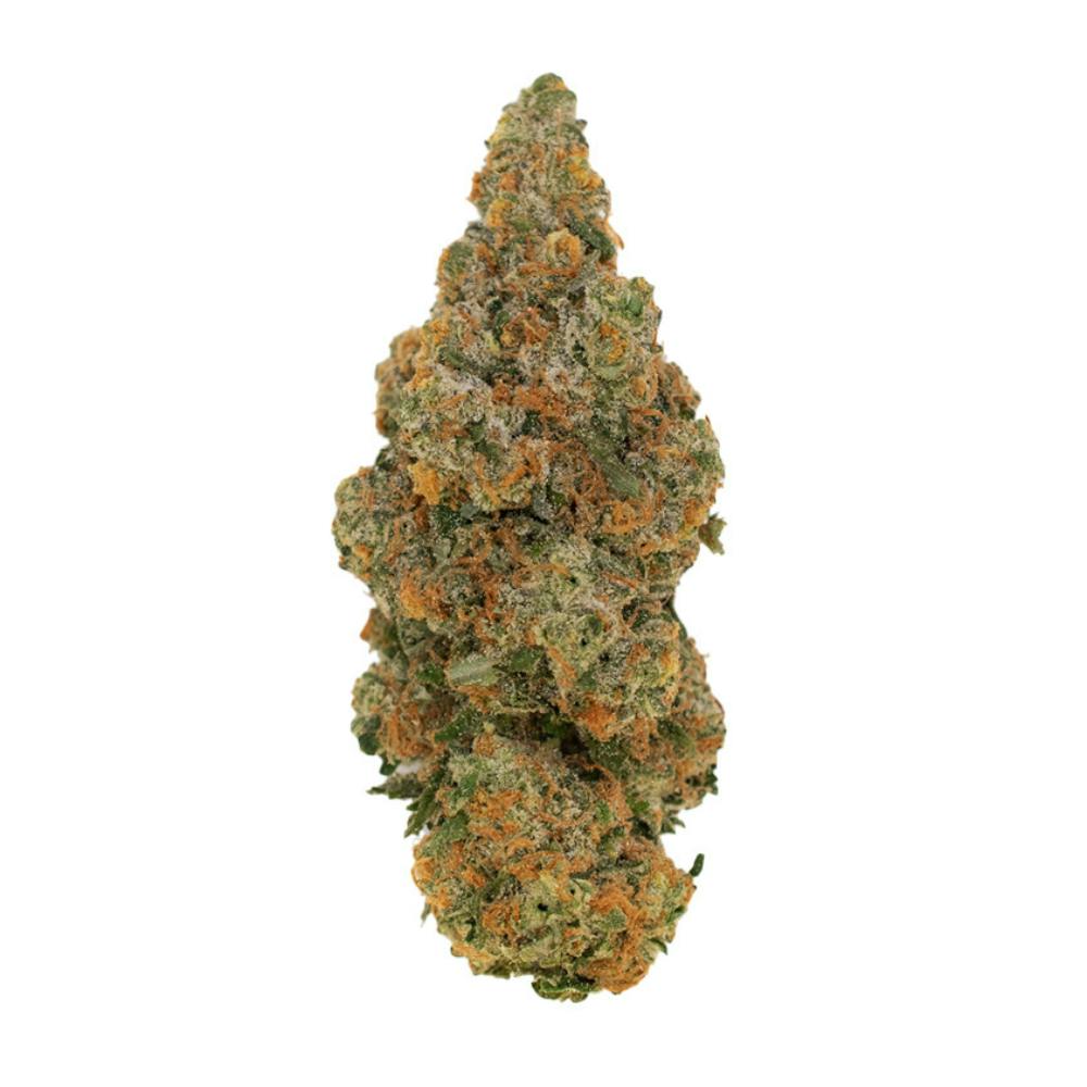 Shredder (Face Melt) - image 1