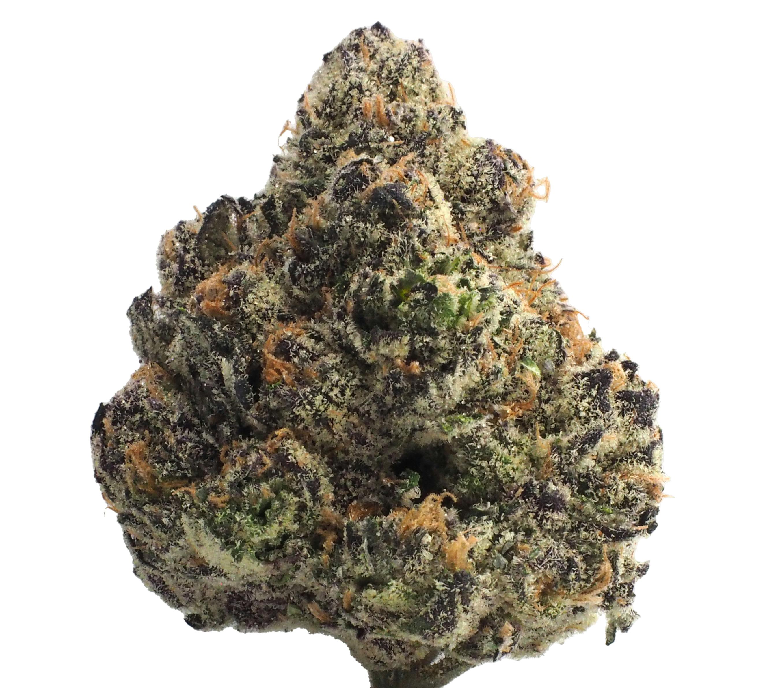 Dom P [No Biggies] (14g) - image 2