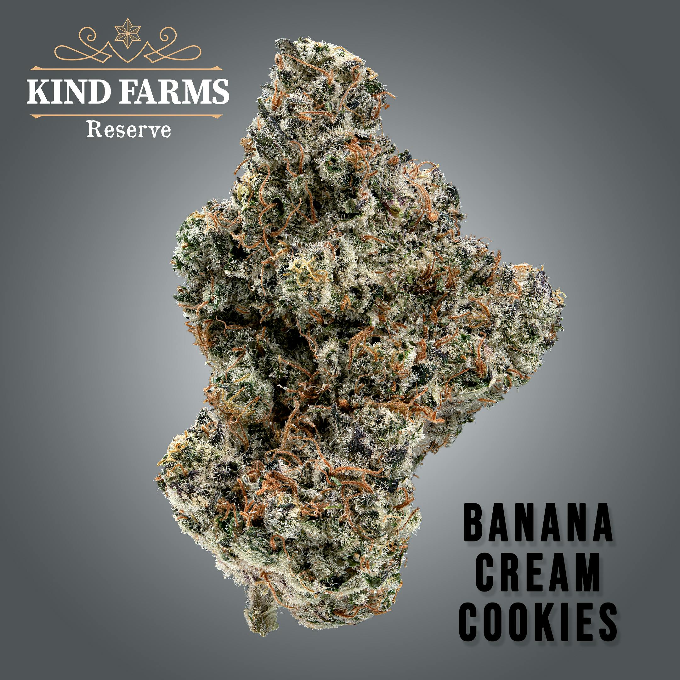 Banana Cream Cookies - Kind Farms Reserve - image 1