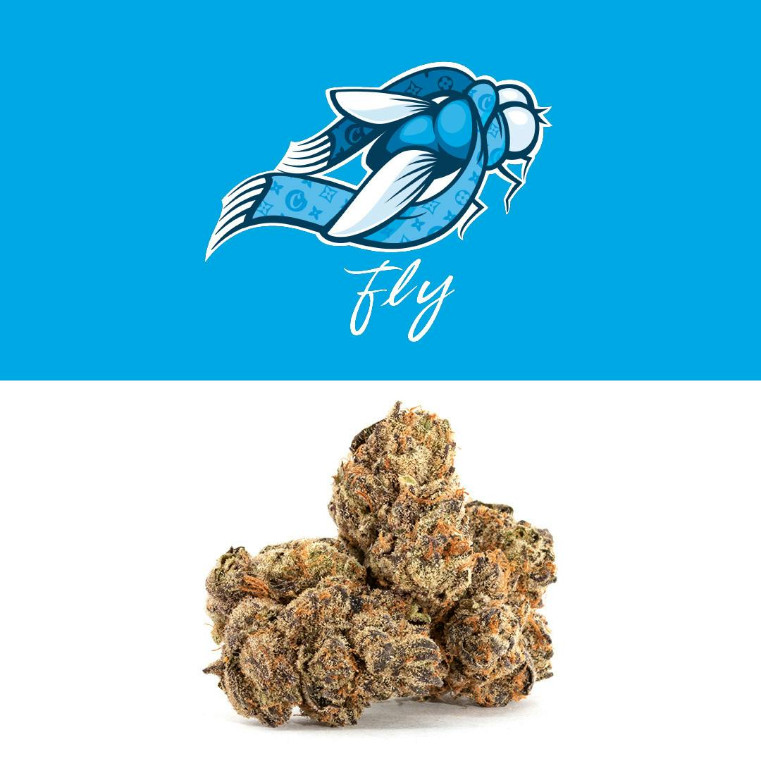 Fly - image 1