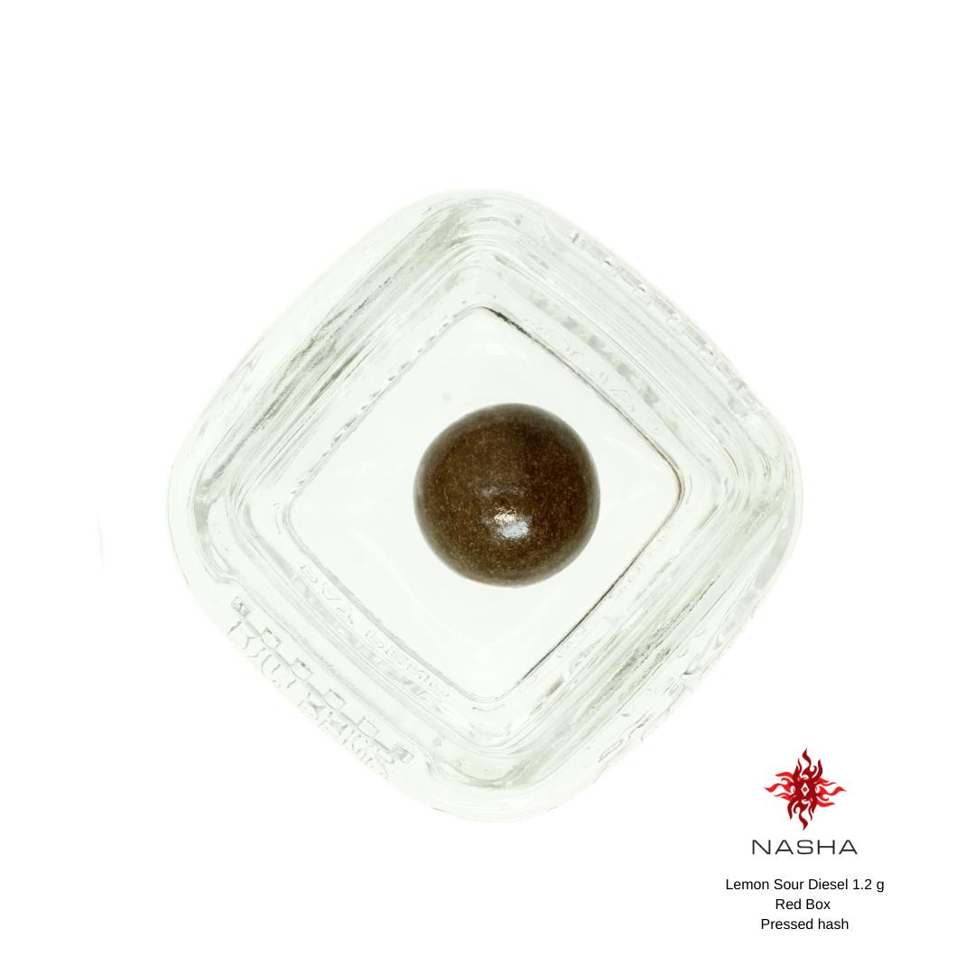 Lemon Sour Diesel 1.2 g Red Pressed Hash - image 1