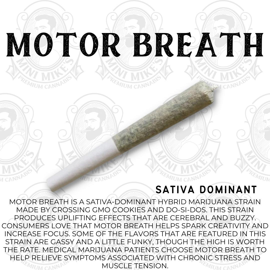 Mini Mike's - Prerolls - Motor Breath - 3.5G - 10Pck - image 3