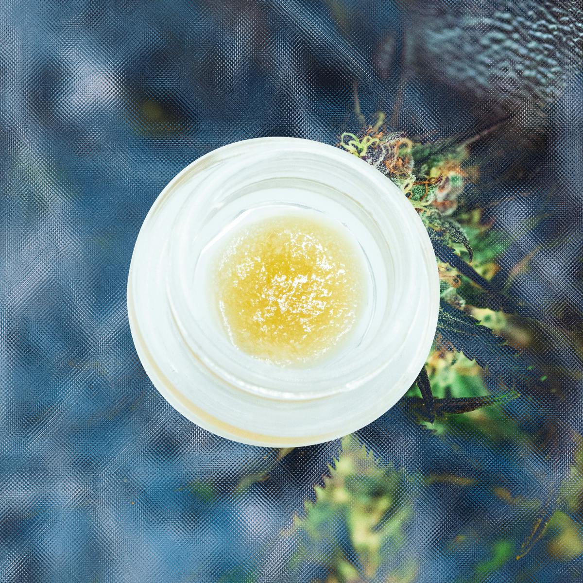 Kushmints - Cured Resin Sauce Concentrate- 1g - image 2