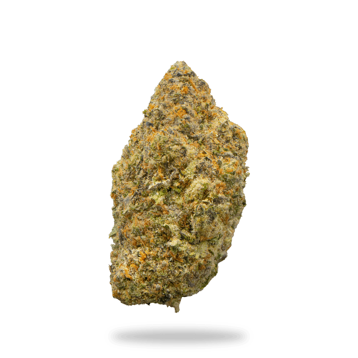 Jelly Pop - image 1