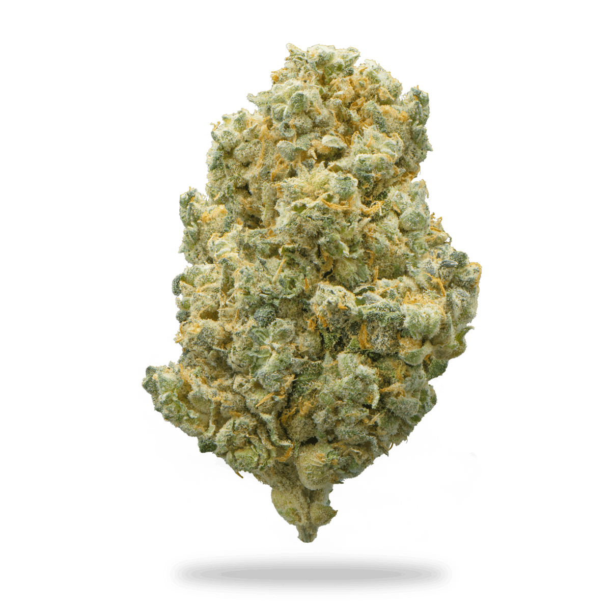 Spritzer - image 1