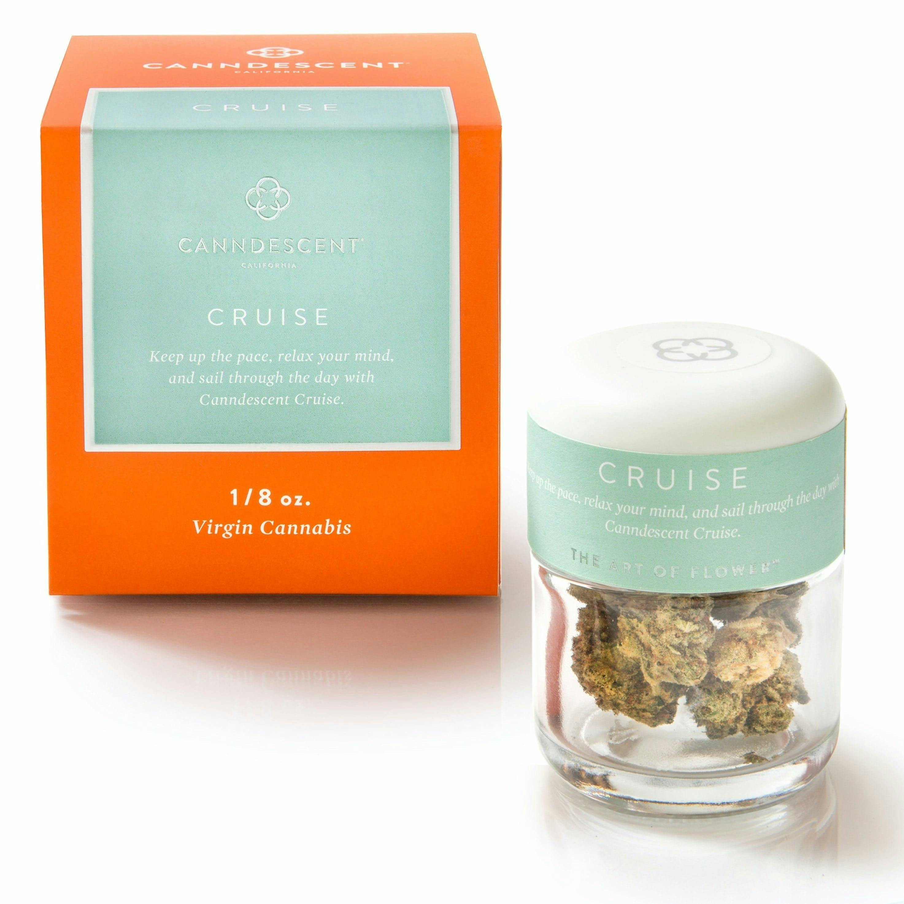 CRUISE - Oreoz [3.5g Flower Jar] - image 1