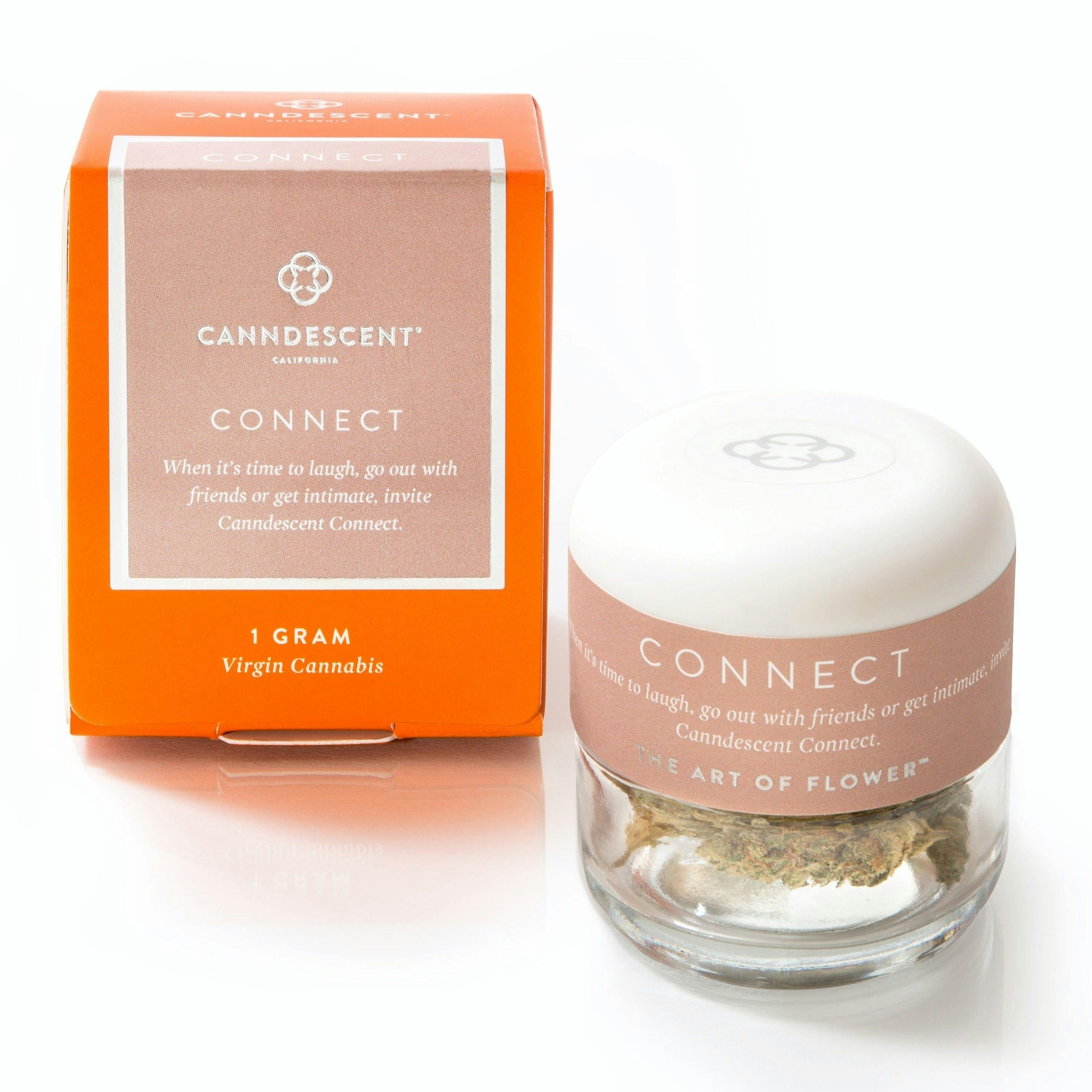 CONNECT - Tres Leches [1g Flower Jar] - image 1