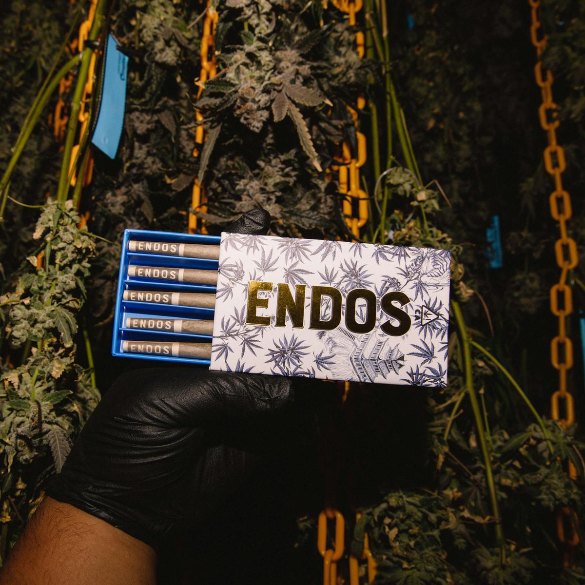 Motorbreath 5 Pack Pre-Rolls 5g - image 1