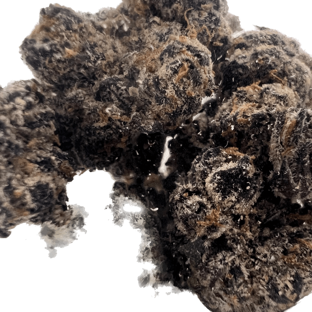 SD Strains Black Cherry Gelato 3.5g - image 4