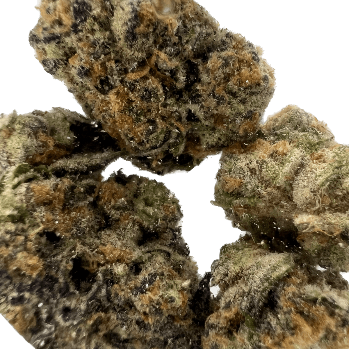 SD Strains 91 Driver 3.5g - image 3