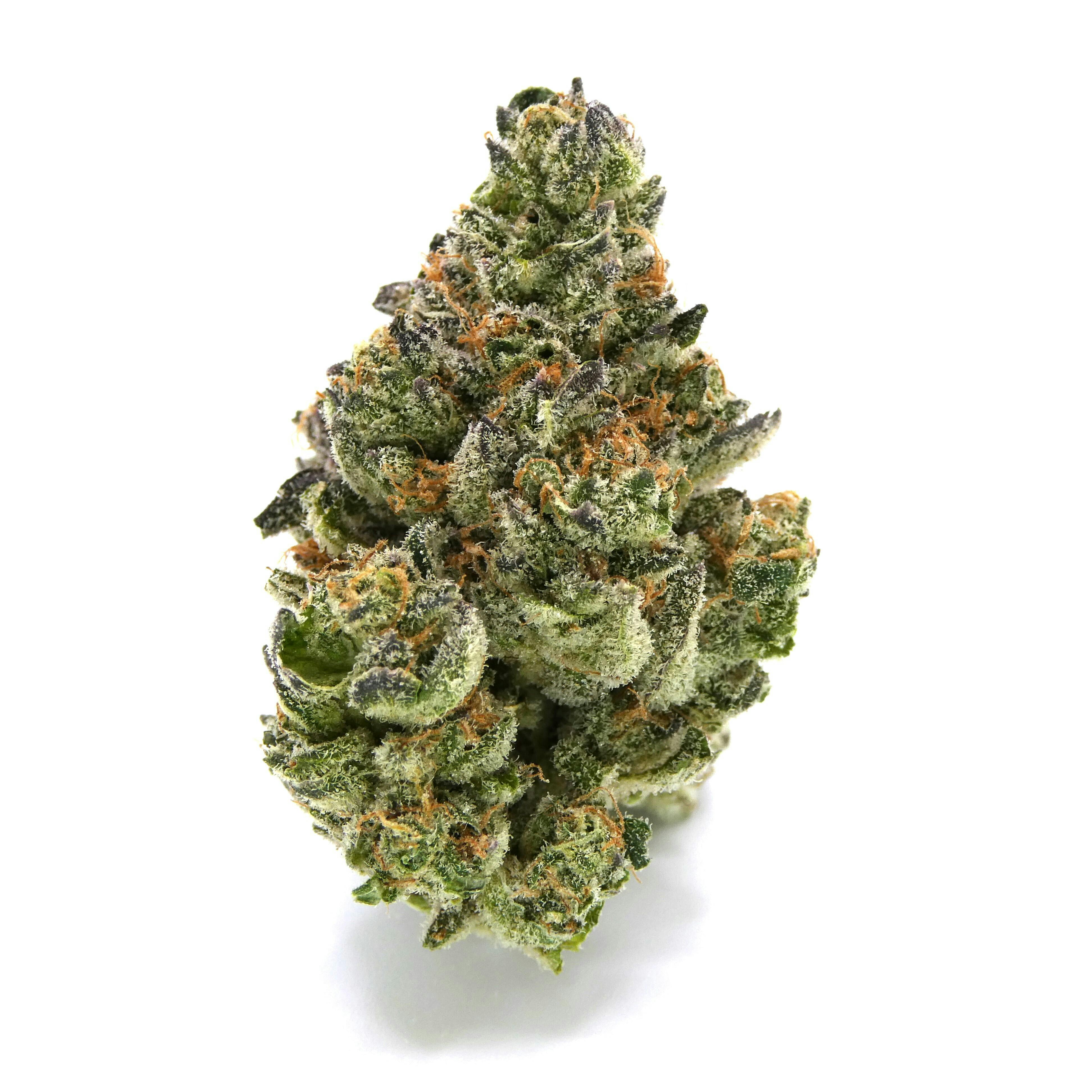 Peace On Earth Buds - image 1