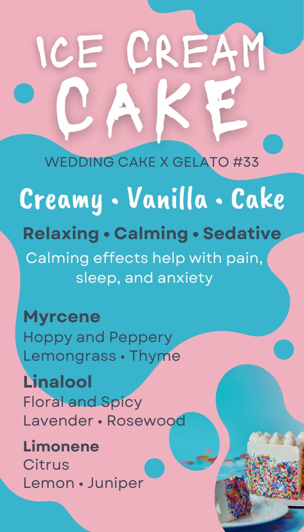 Ice Cream Cake - image 2