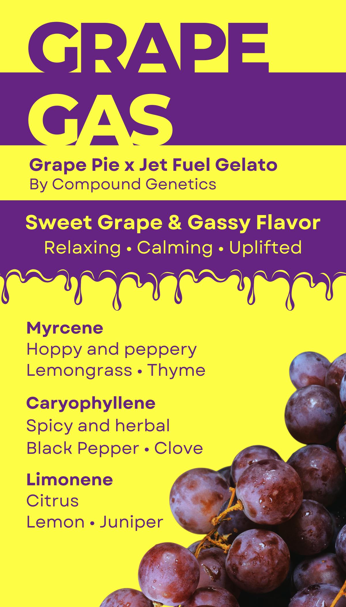 Grape Gas - image 2